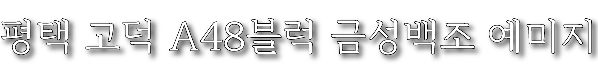 평택 고덕 A48블럭 금성백조 예미지 타이틀